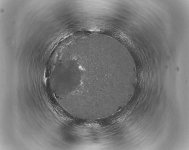 X0000086950644200704231426