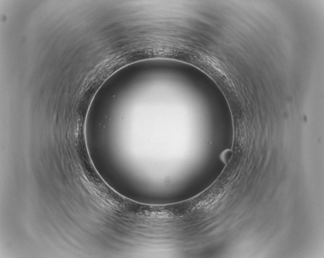 X0000086950645200704231426