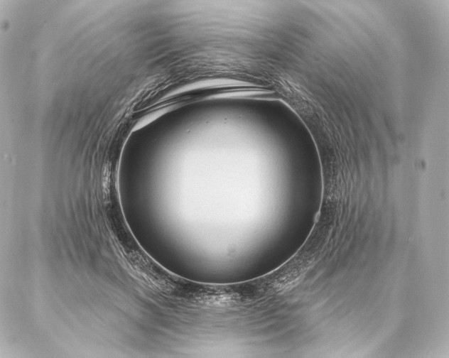 X0000086950646200704231426