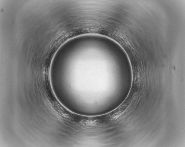 X0000086950647200704231426