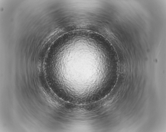 X0000086950648200704231426