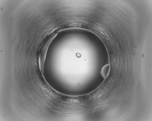 X0000086950649200704231427