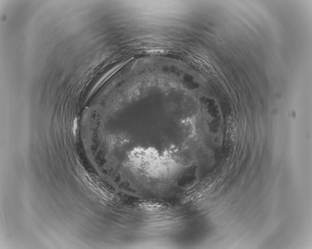 X0000086950650200704231427