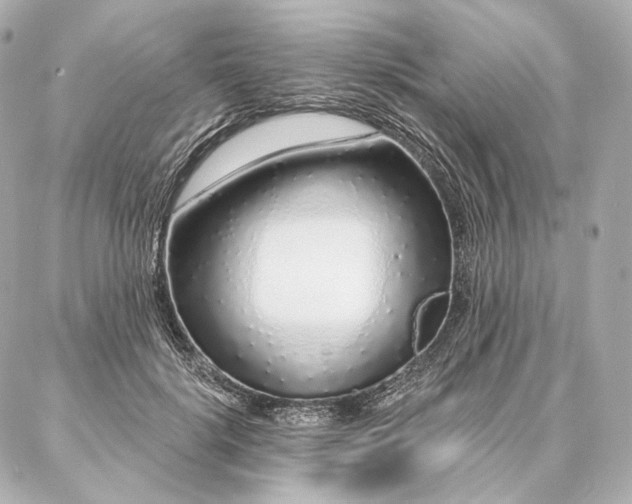 X0000086950652200704231427