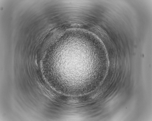 X0000086950653200704231427