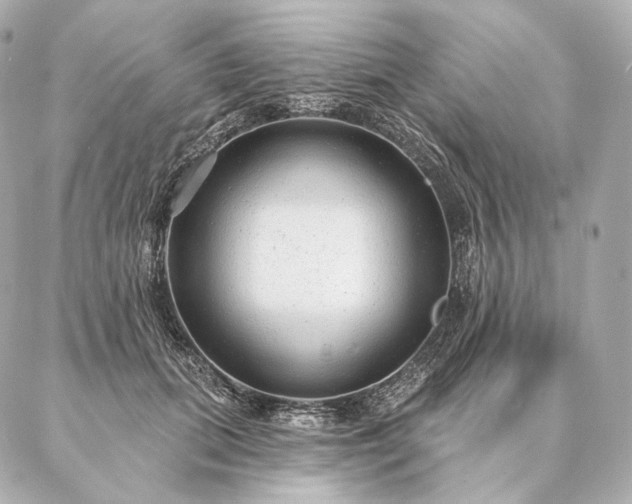 X0000086950655200704231427