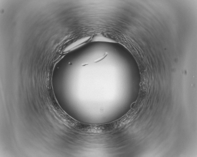 X0000086950656200704231427