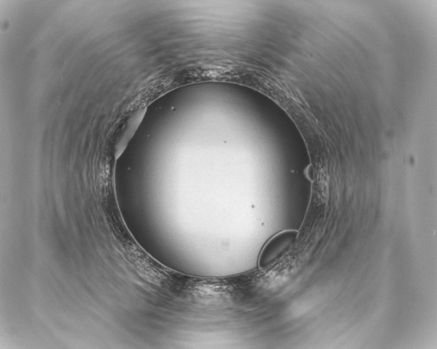 X0000086950657200704231427