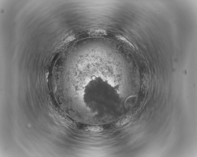 X0000086950659200704231427