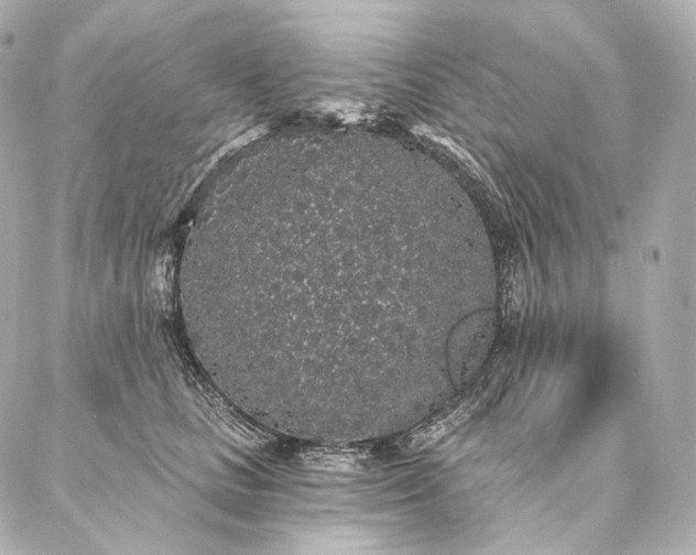 X0000086950661200704231427