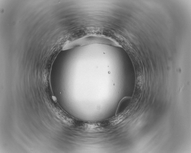 X0000086950662200704231427