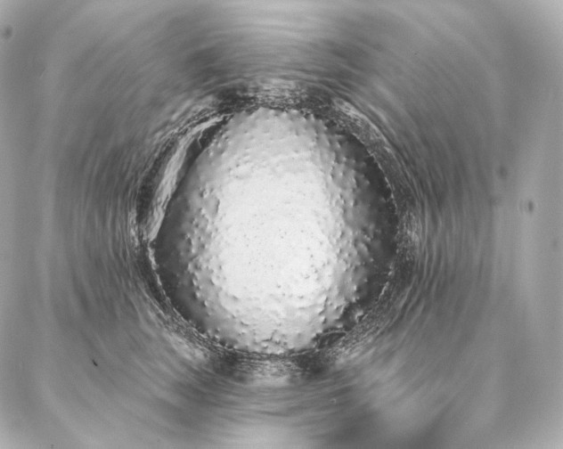 X0000086950663200704231427