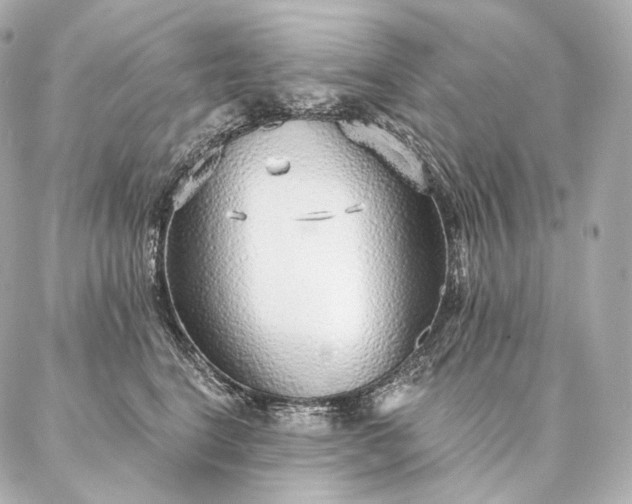 X0000086950664200704231427