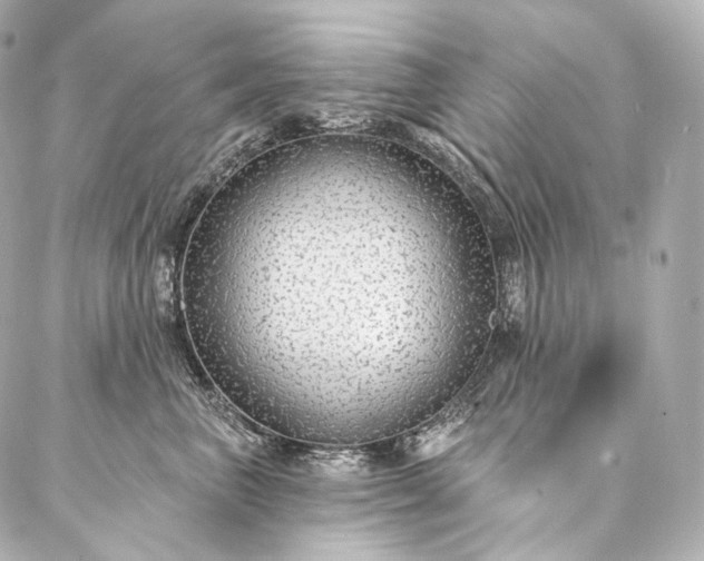 X0000086950667200704231427