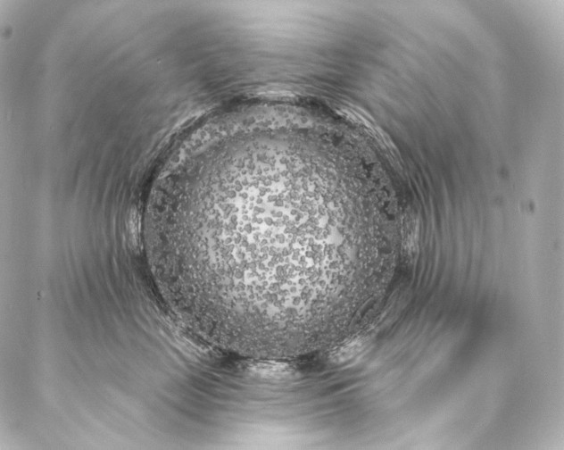 X0000086950669200704231427