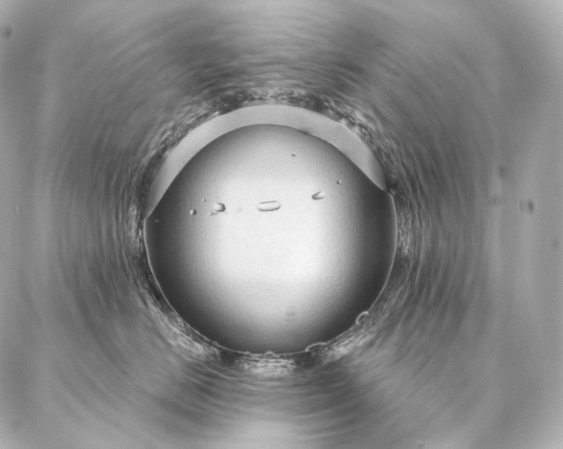 X0000086950670200704231427