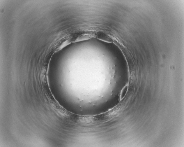 X0000086950671200704231427