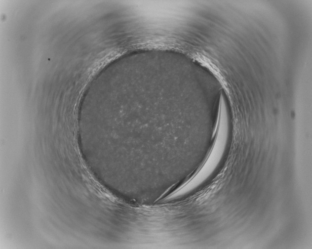 X0000086950673200704231426