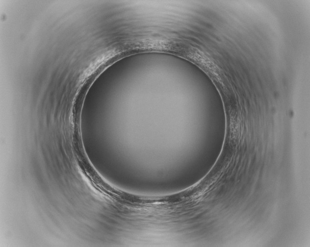 X0000086950674200704231426