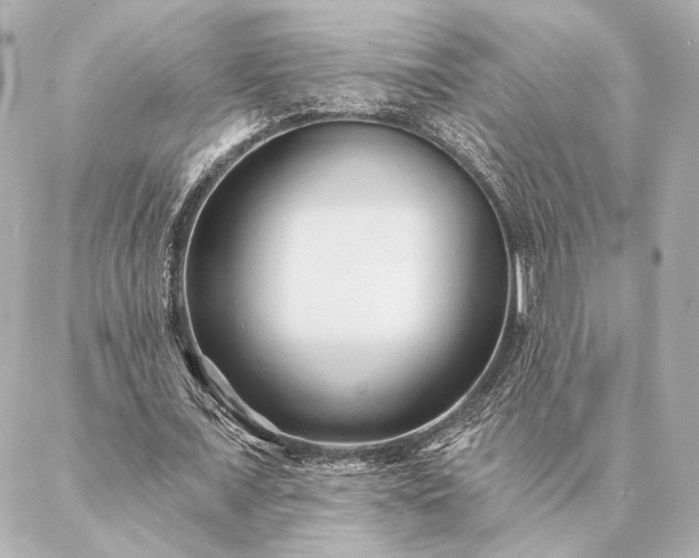 X0000086950675200704231426