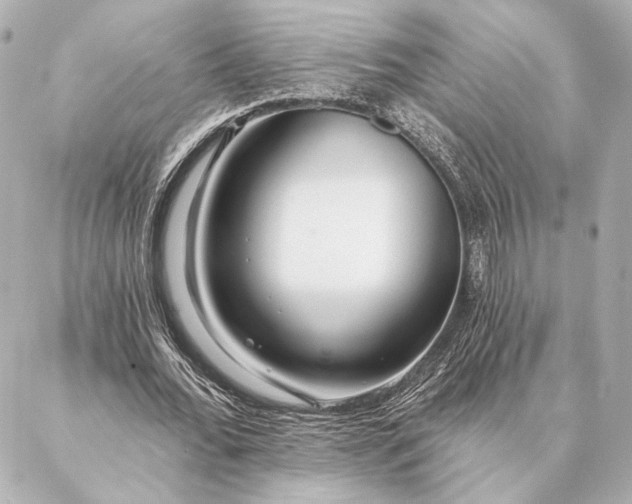 X0000086950676200704231426