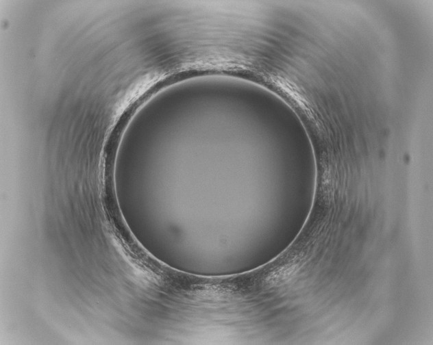 X0000086950678200704231426