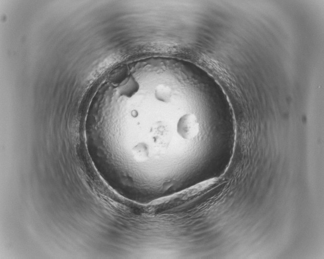 X0000086950679200704231426