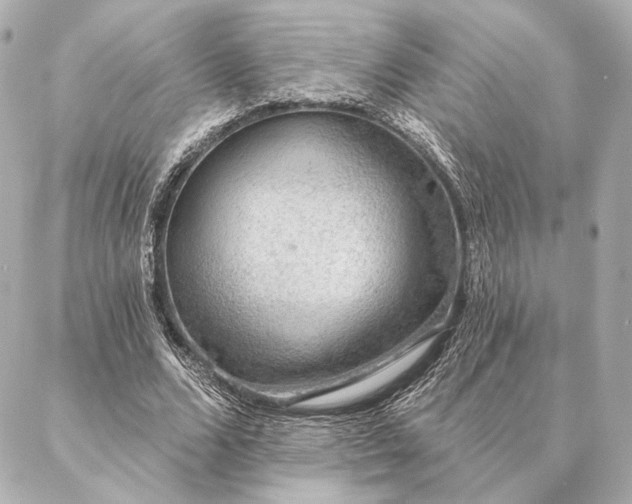 X0000086950680200704231426