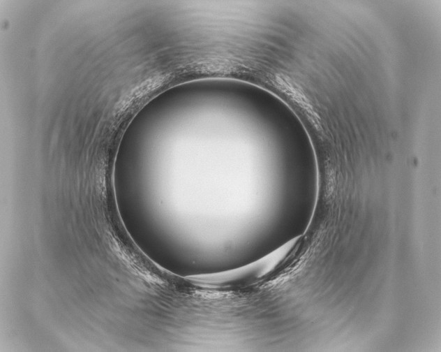 X0000086950681200704231426