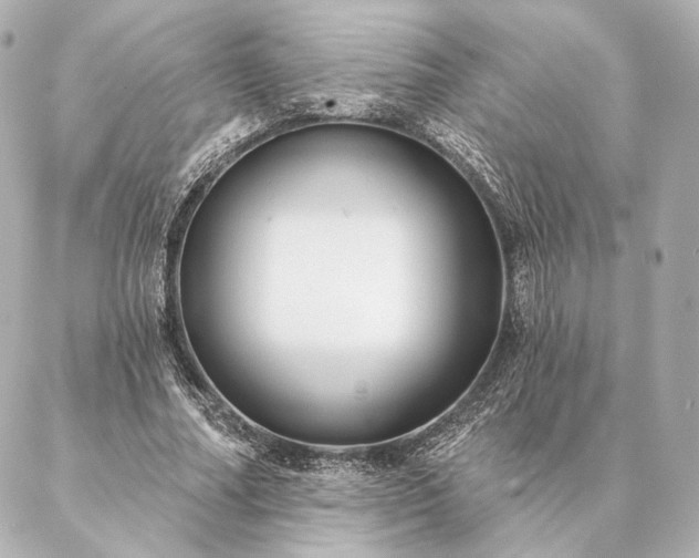 X0000086950682200704231426