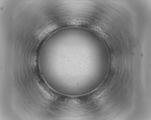 X0000086950683200704231426