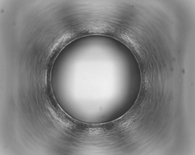 X0000086950686200704231426