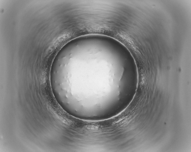 X0000086950687200704231426