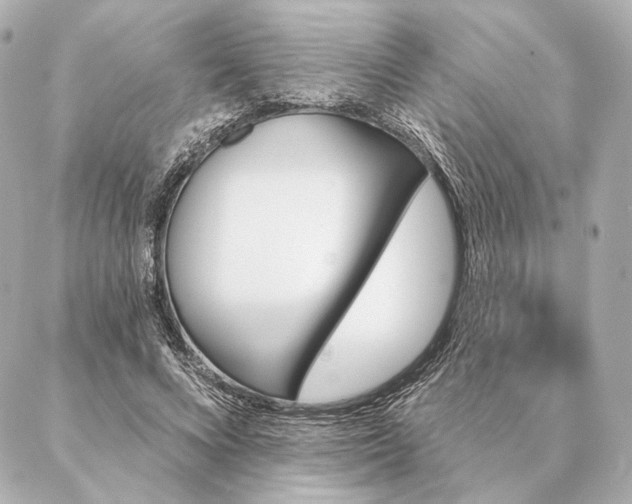 X0000086950688200704231426