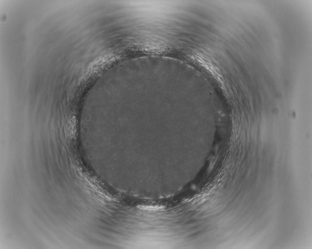 X0000086950689200704231426