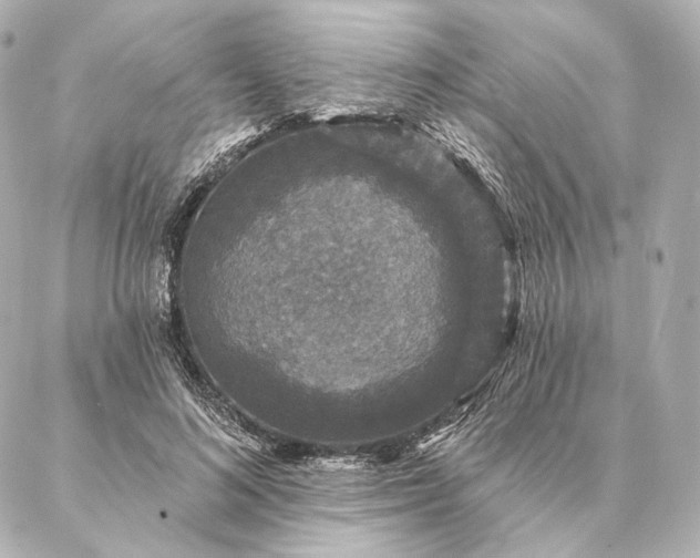 X0000086950692200704231426