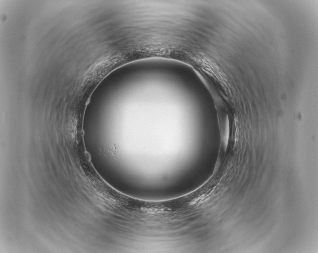 X0000086950693200704231426