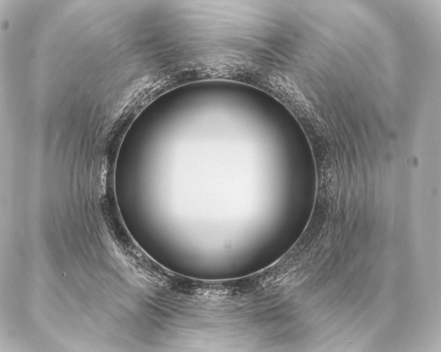 X0000086950694200704231426