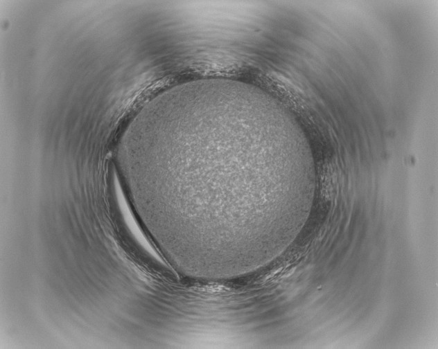 X0000086950695200704231426