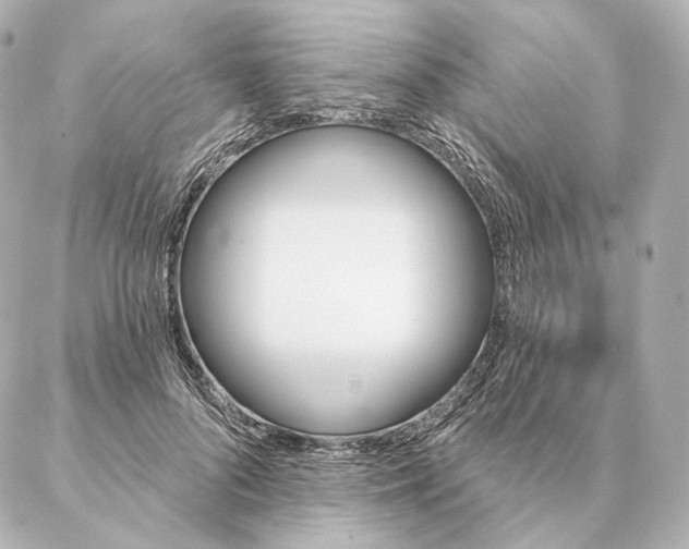 X0000086950696200704231426