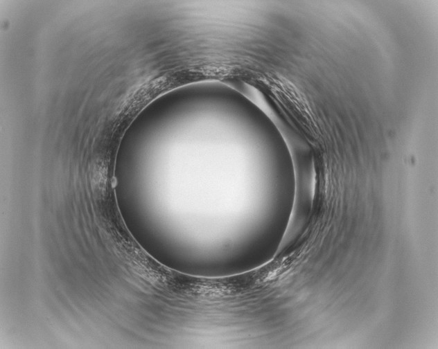 X0000086950697200704231426