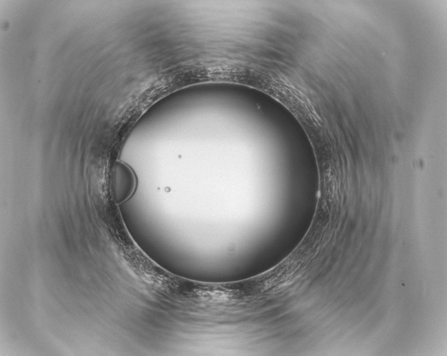 X0000086950698200704231426