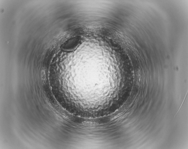 X0000086950699200704231426