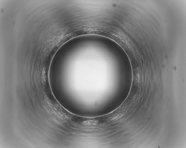 X0000086950700200704231426