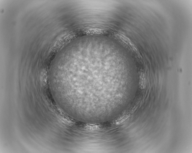 X0000086950701200704231426