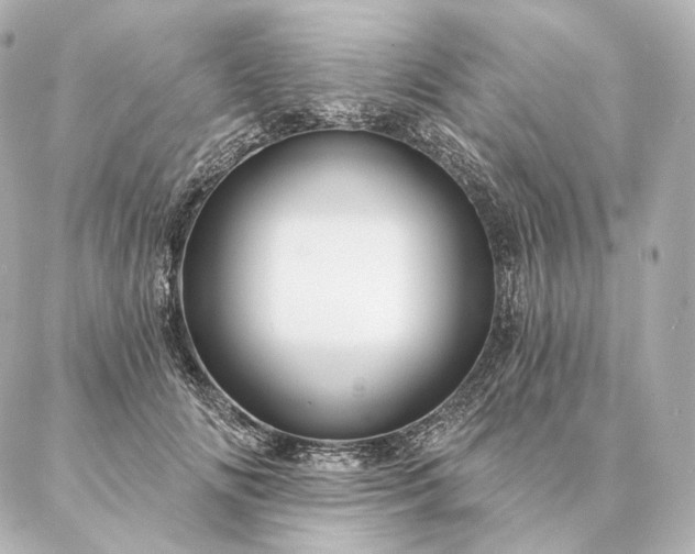 X0000086950702200704231426