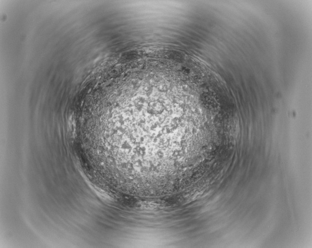 X0000086950703200704231426