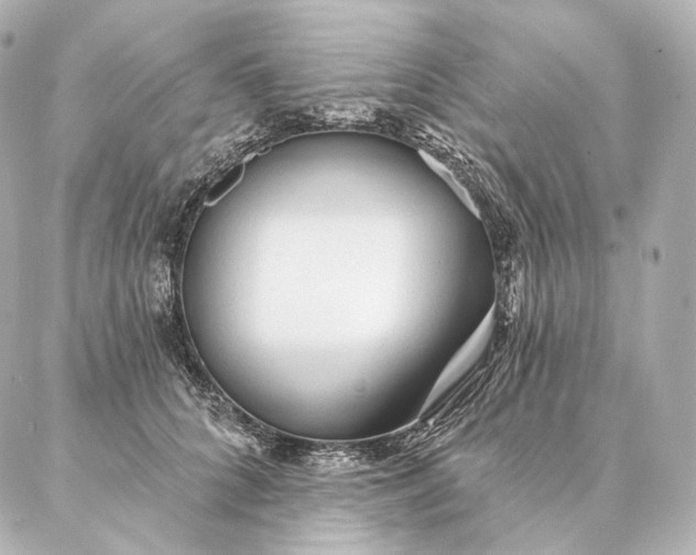 X0000086950704200704231426