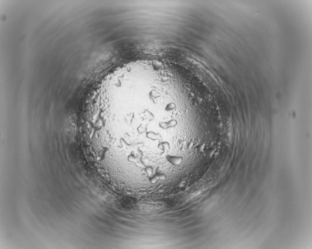 X0000086950707200704231426