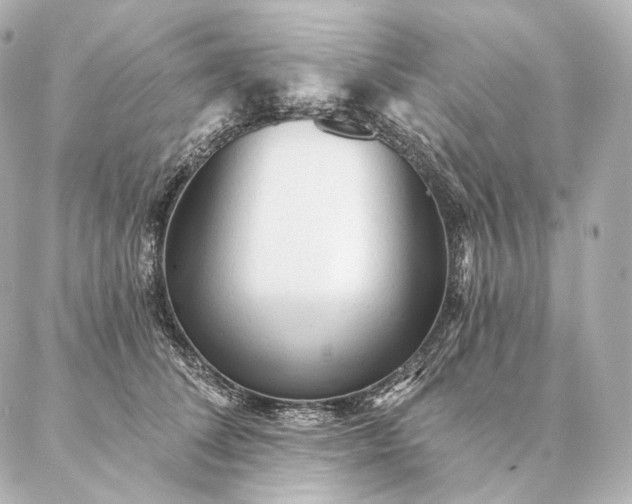 X0000086950708200704231426